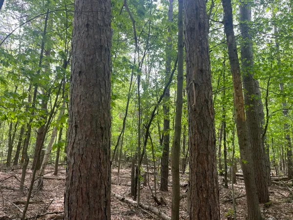 $56,900 | Mortimer Line Road, Croswell, MI 48422