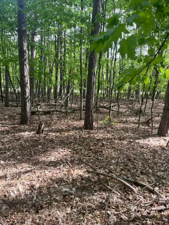 $56,900 | Mortimer Line Road, Croswell, MI 48422