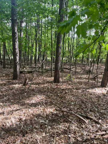 $56,900 | Mortimer Line Road, Croswell, MI 48422