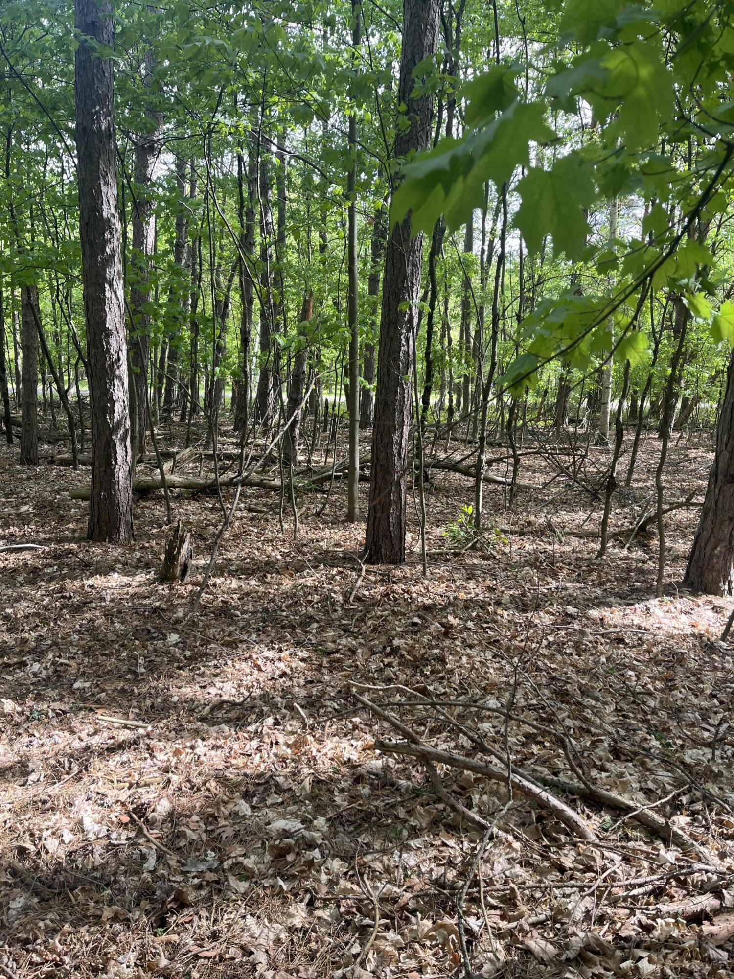 Mortimer Line Road Croswell, MI 48422 - Photo 6 of 15 image1 (6)