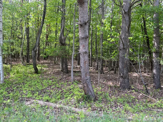 $56,900 | Mortimer Line Road, Croswell, MI 48422