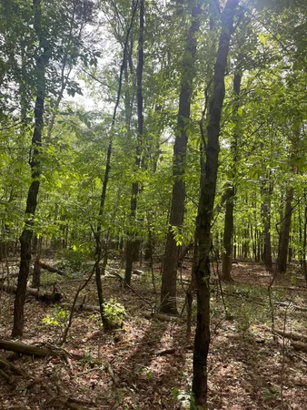 $56,900 | Mortimer Line Road, Croswell, MI 48422