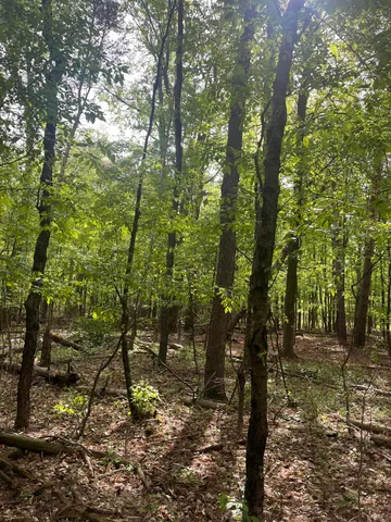 $56,900 | Mortimer Line Road, Croswell, MI 48422