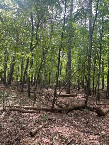 $56,900 | Mortimer Line Road, Croswell, MI 48422