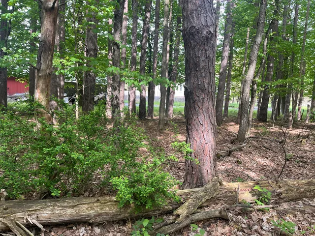 $56,900 | Mortimer Line Road, Croswell, MI 48422