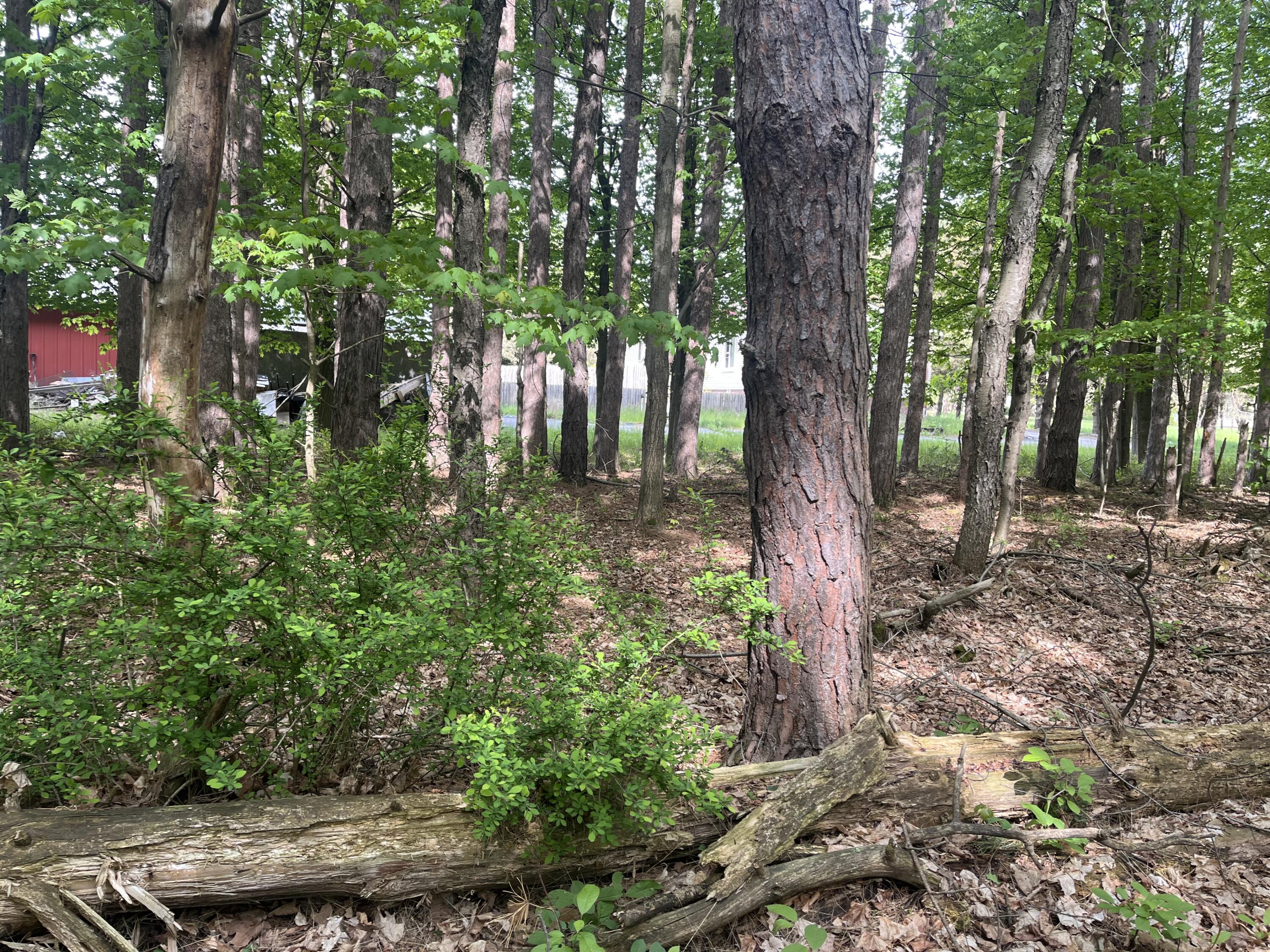 Mortimer Line Road Croswell, MI 48422 - Photo 10 of 15 image1 (4)