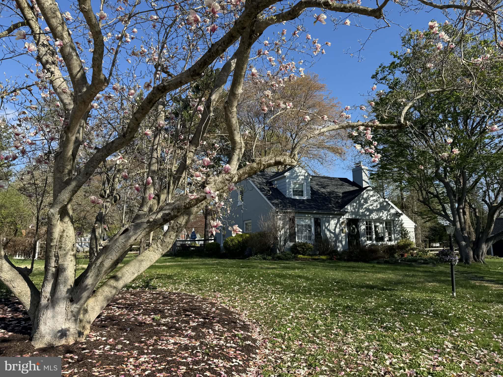 303 Barry Lane Wallingford, PA 19086 - Photo 4 of 14