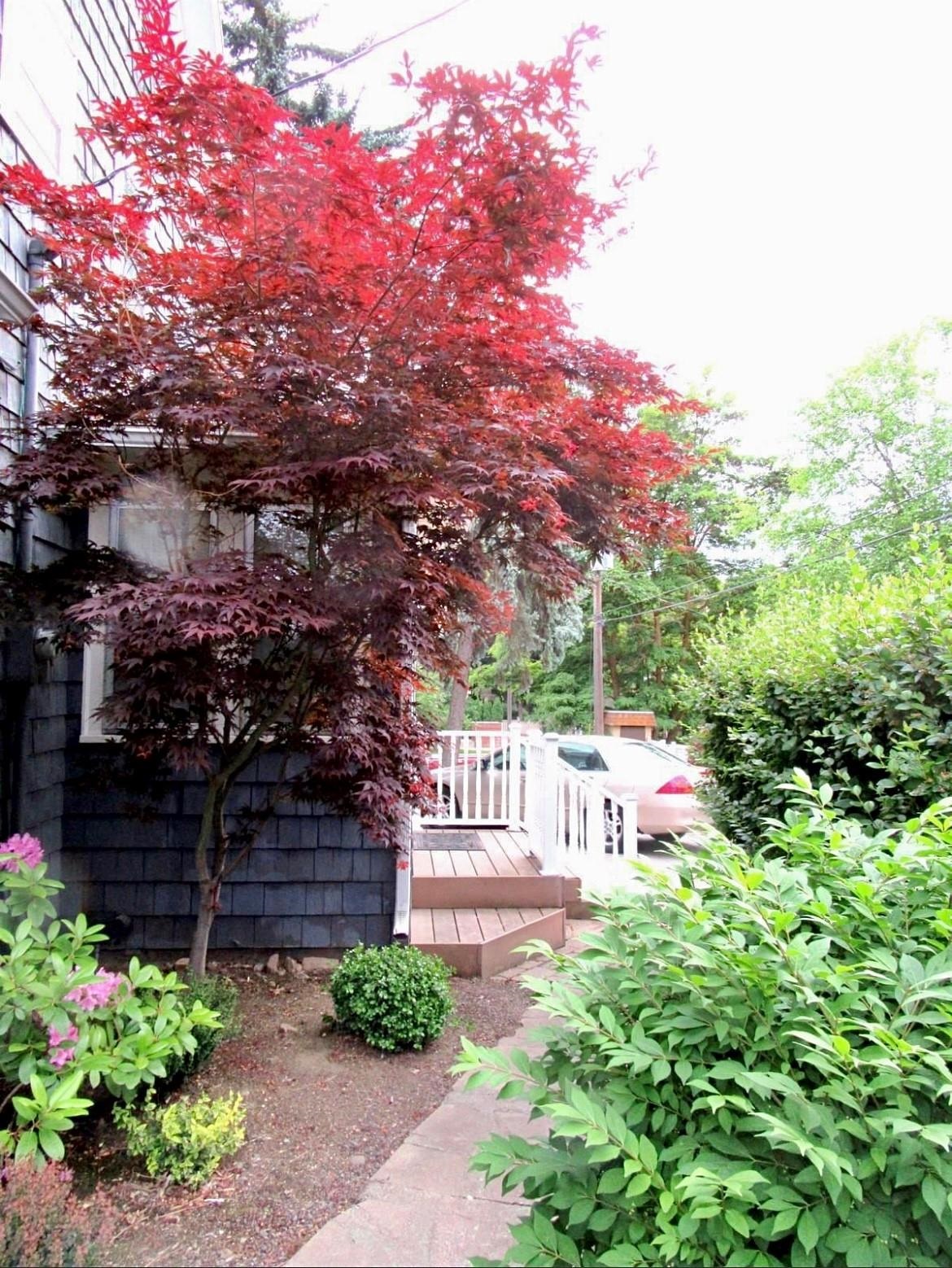 720 6th Street Cheney, WA 99004 - Photo 10 of 39 Gallery Image 10