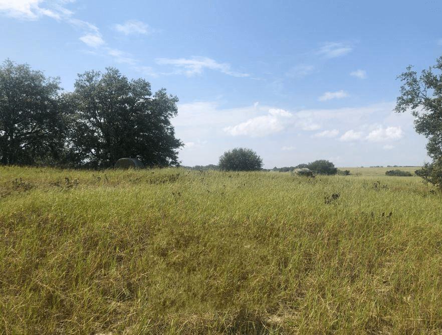 a view of a lake view