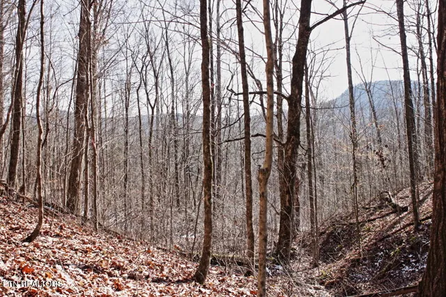 $39,990 | Cheynne Drive, Jamestown, TN 38556