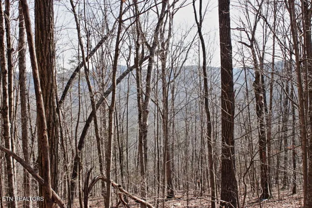 $39,990 | Cheynne Drive, Jamestown, TN 38556