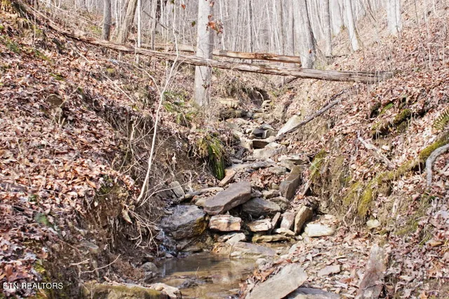 $39,990 | Cheynne Drive, Jamestown, TN 38556