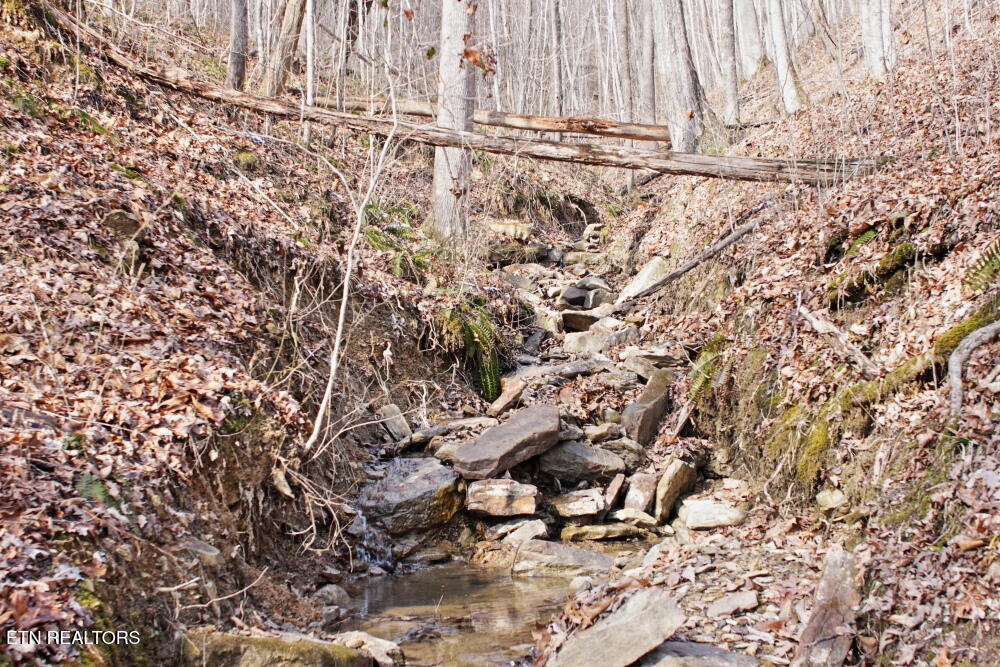 Cheynne Drive Jamestown, TN 38556 - Photo 4 of 9 IMG_0571