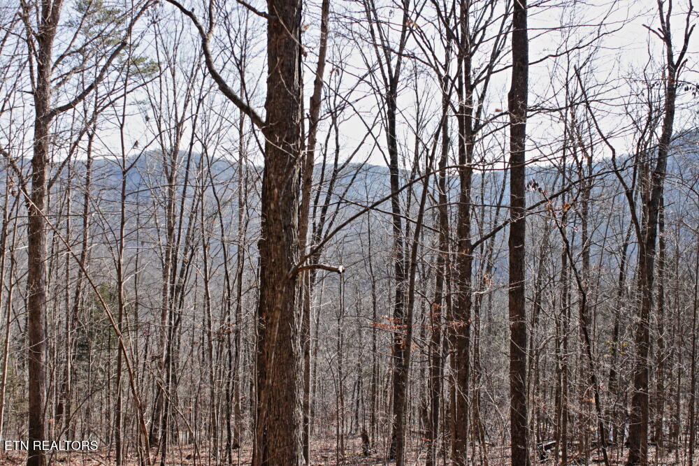 Cheynne Drive Jamestown, TN 38556 - Photo 5 of 9 IMG_0568