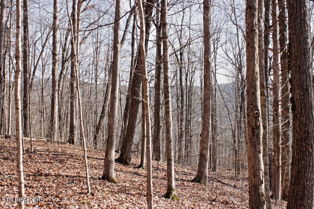 Cheynne Drive Jamestown, TN 38556 - Photo 8 of 9 IMG_0575