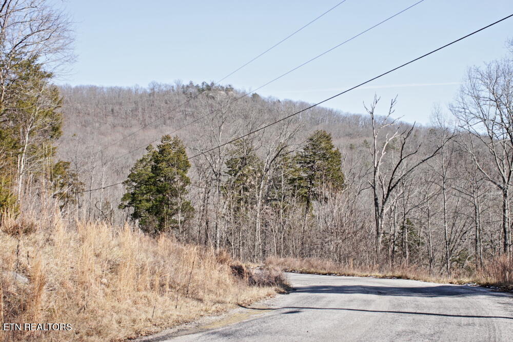 Cheynne Drive Jamestown, TN 38556 - Photo 9 of 9 IMG_0567