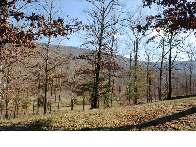 562 Lakeview Drive, Unit 567 Rising Fawn, GA 30738 - Photo 3 of 15 Additional Photo
