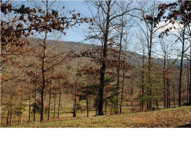 562 Lakeview Drive, Unit 567 Rising Fawn, GA 30738 - Photo 5 of 15 Additional Photo