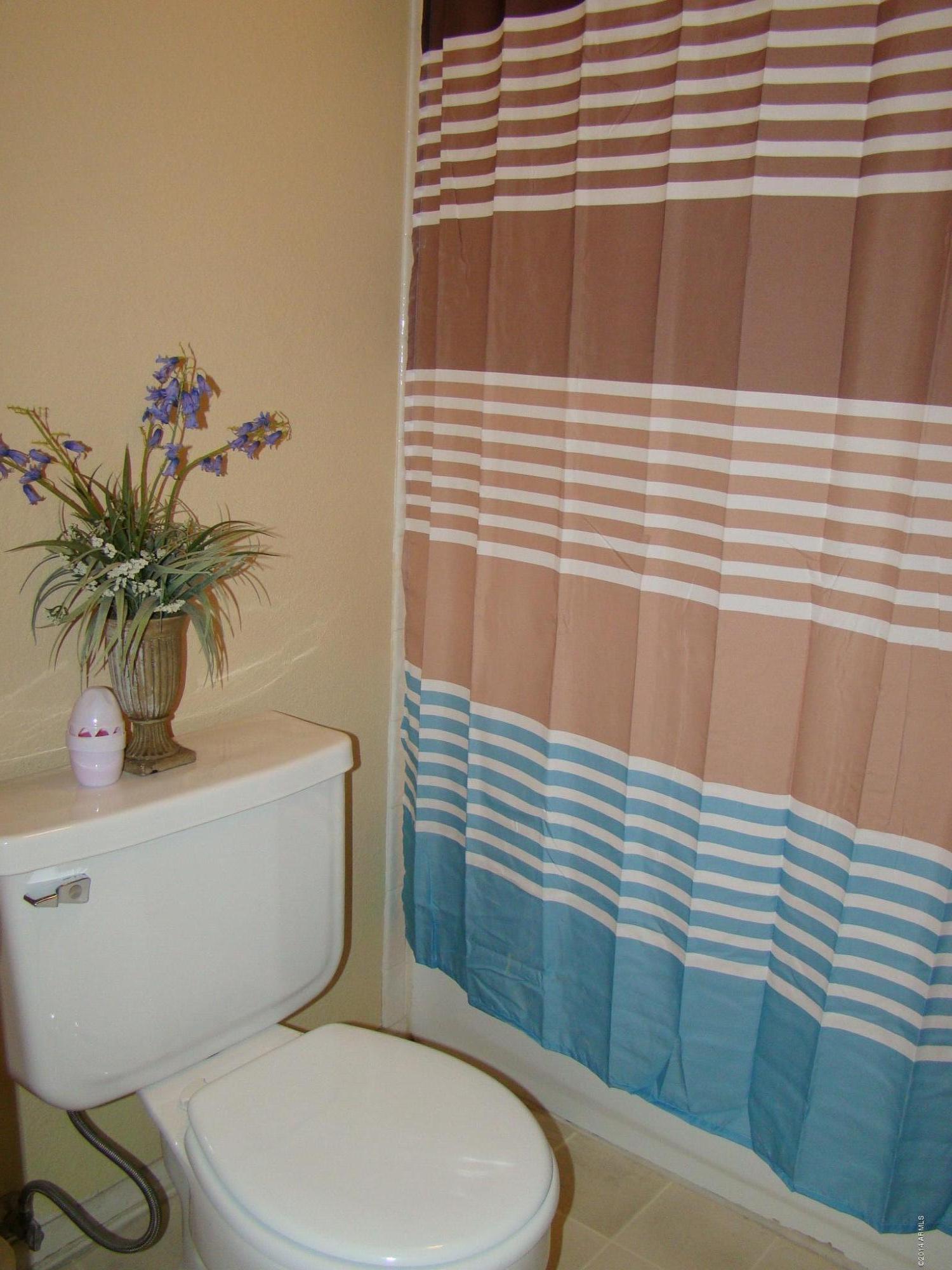 1726 East Carter Road Phoenix, AZ 85042 - Photo 9 of 27 Master Bathroom
