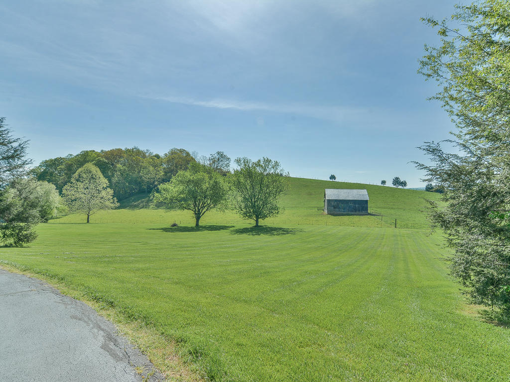 642 Boones Station Road Gray, TN 37615 - Photo 41 of 44 642 Boone rear property