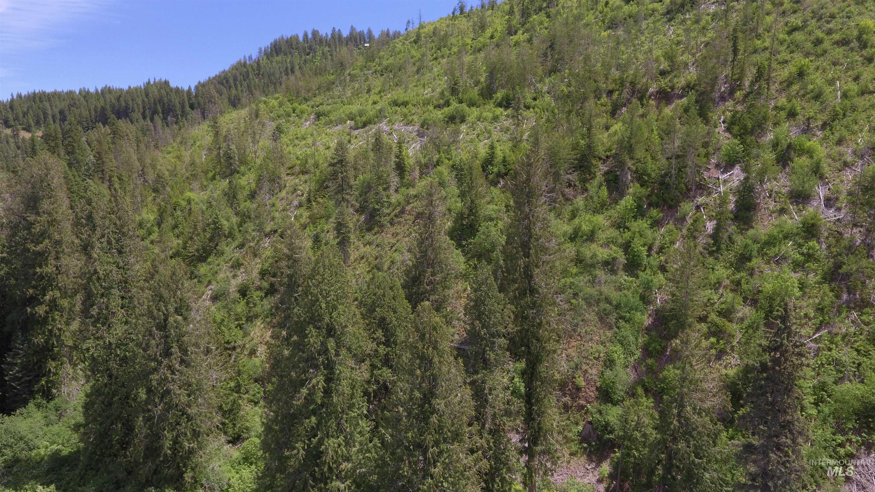 Tbd Glenwood Road Kamiah, ID 83536 - Photo 6 of 50