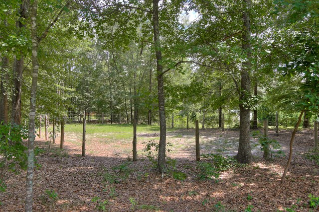 169 Paces Creek Road Trenton, SC 29847 - Photo 23 of 26 Gallery Image 23