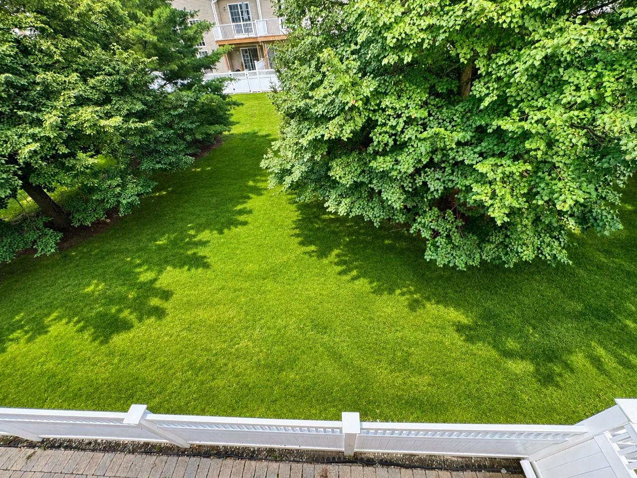 141 Coburn Road Pennington, NJ 08534 - Photo 39 of 53 Balcony view-Lush green lawn framed by trees.