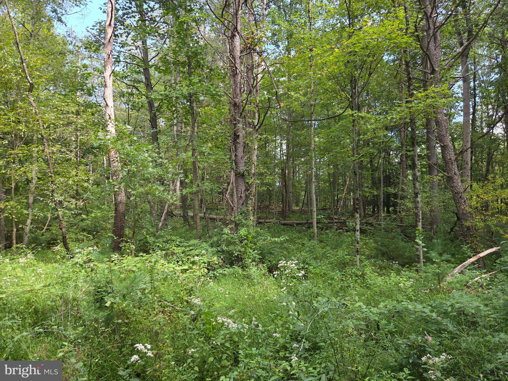 410 Buckwheat Valley Road Millerstown, PA 17062 - Photo 36 of 37 Gallery Image 36