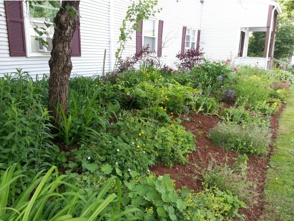 85 The Commons, Unit 20 Moretown, VT 05660 - Photo 2 of 13 Gallery Image 2