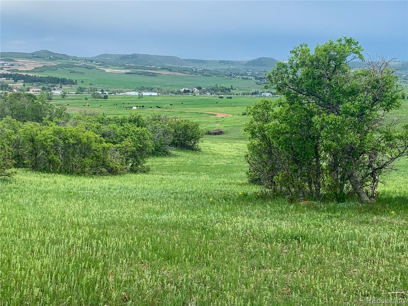 a view of a green field with lots of bushes