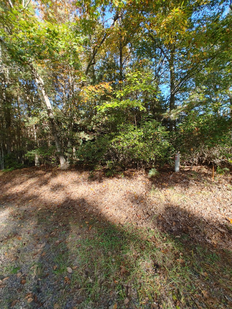 10 Upper Ridge Road, Unit 10 Meadows Of Dan, VA 24120 - Photo 2 of 30 Gallery Image 2
