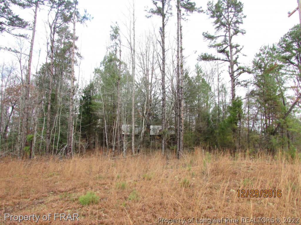 4394 Carbonton Road Sanford, NC 27330 - Photo 1 of 4 Gallery Image 1