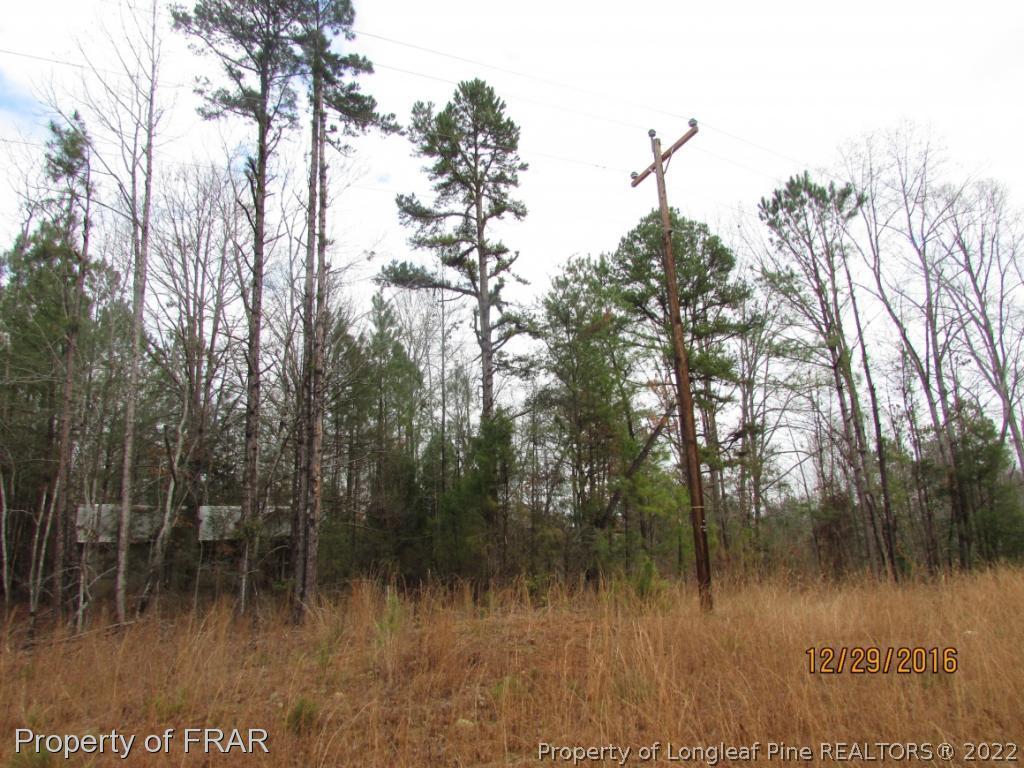 4394 Carbonton Road Sanford, NC 27330 - Photo 3 of 4 Gallery Image 3