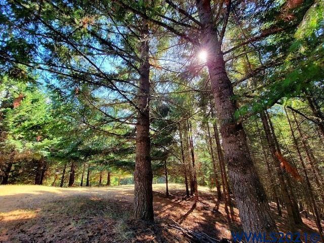 2610 Reuben Boise Road Dallas, OR 97338 - Photo 25 of 37
