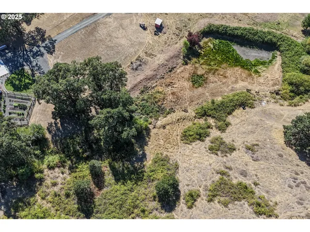 a view of a yard with a tree