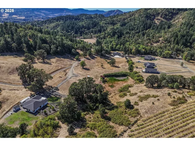 a view of a park with a large tree