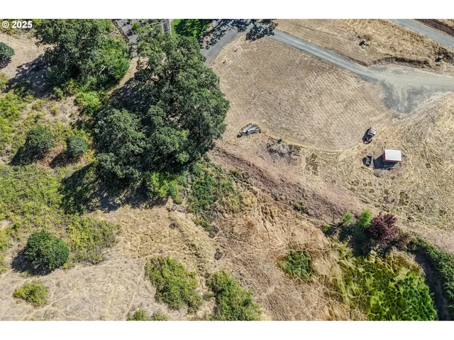 a view of a dry yard with trees