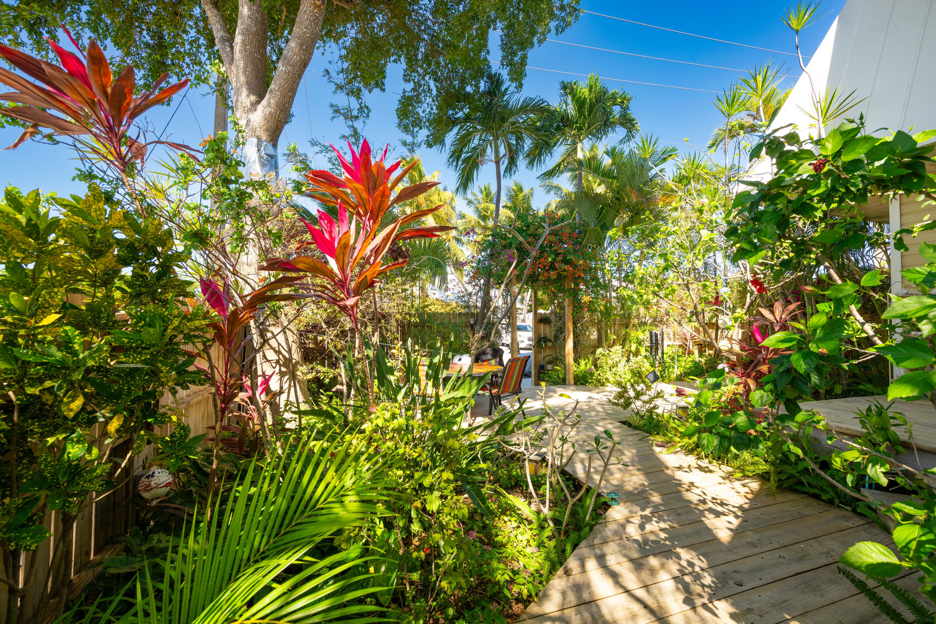 3200 Eagle Avenue Key West, FL 33040 - Photo 2 of 25 a view of a flower