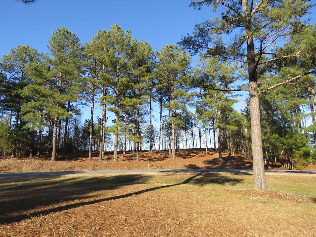 105 Long Point Road Hodges, SC 29653 - Photo 11 of 20