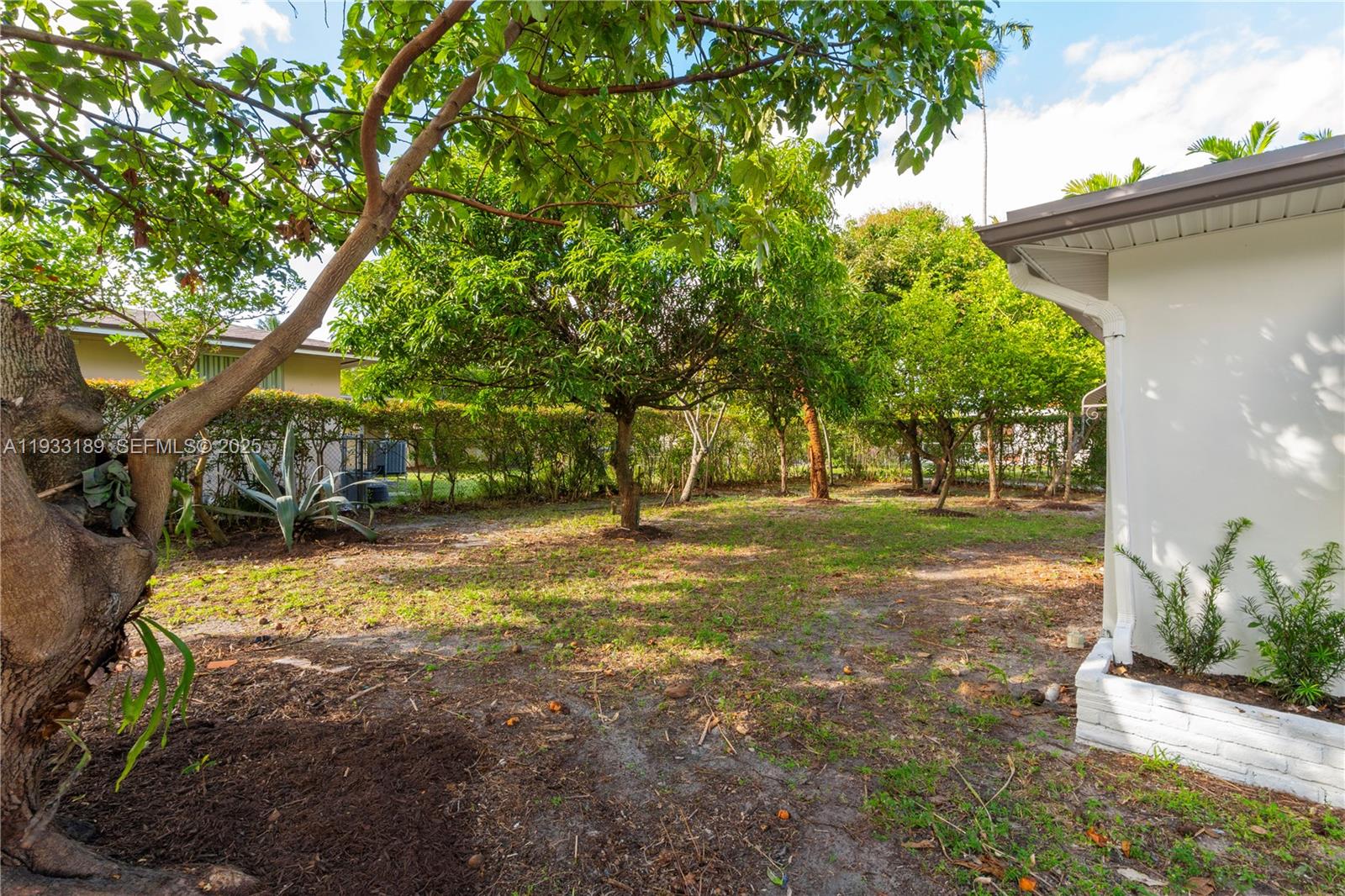 339 Falcon Avenue Miami Springs, FL 33166 - Photo 28 of 29 a view of yard with swimming pool