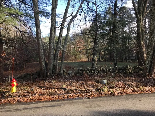 a backyard of a house with lots of green space and trees