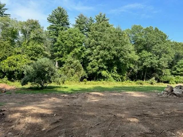 a view of a yard with a tree