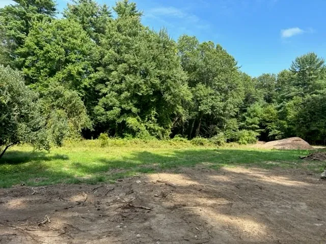 a view of a yard with a tree