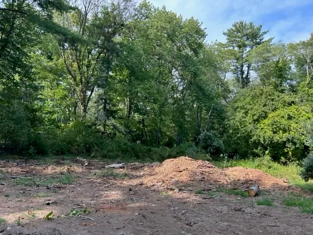 a view of a road with a trees in the background