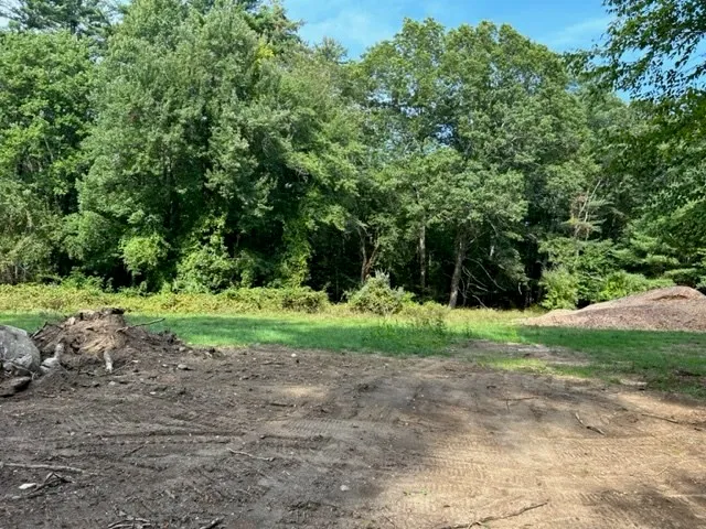 a view of backyard with green space