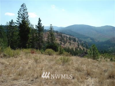 999 Lambert Creek Road Republic, WA 99166 - Photo 1 of 1 Gallery Image 1