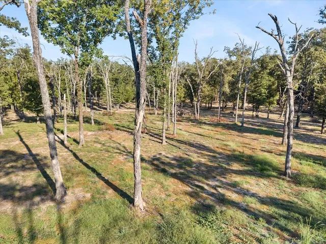 a view of a yard with an trees