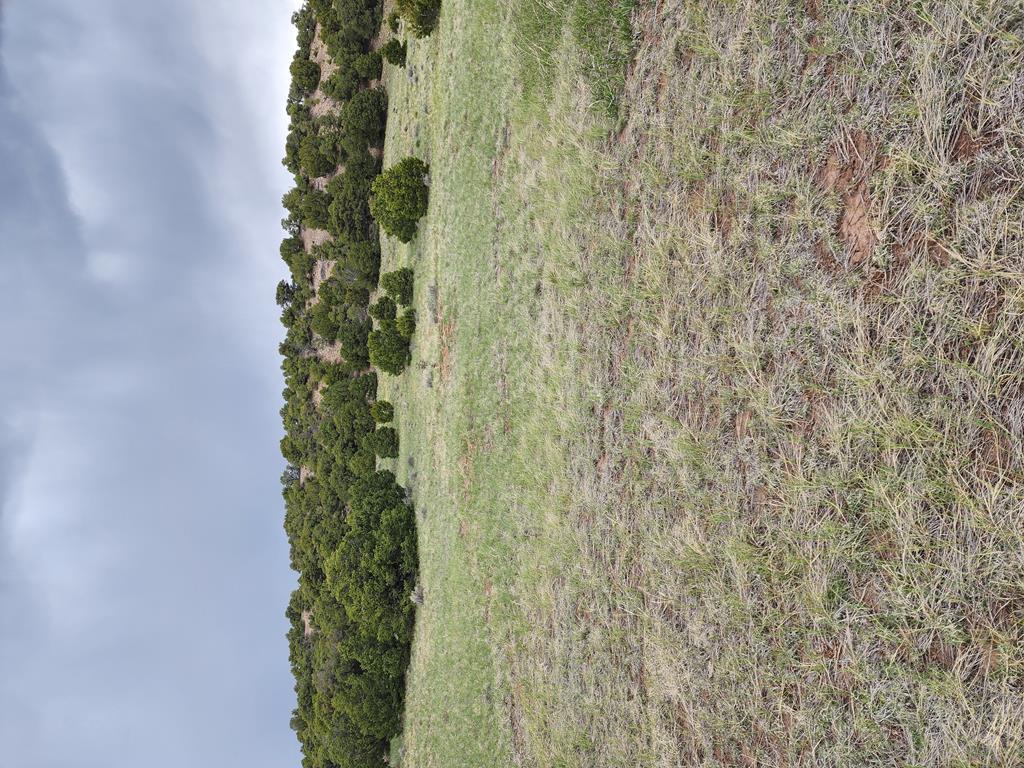 Tbd Tbd Commanche Road Walsenburg, CO 81089 - Photo 16 of 17 Gallery Image 16