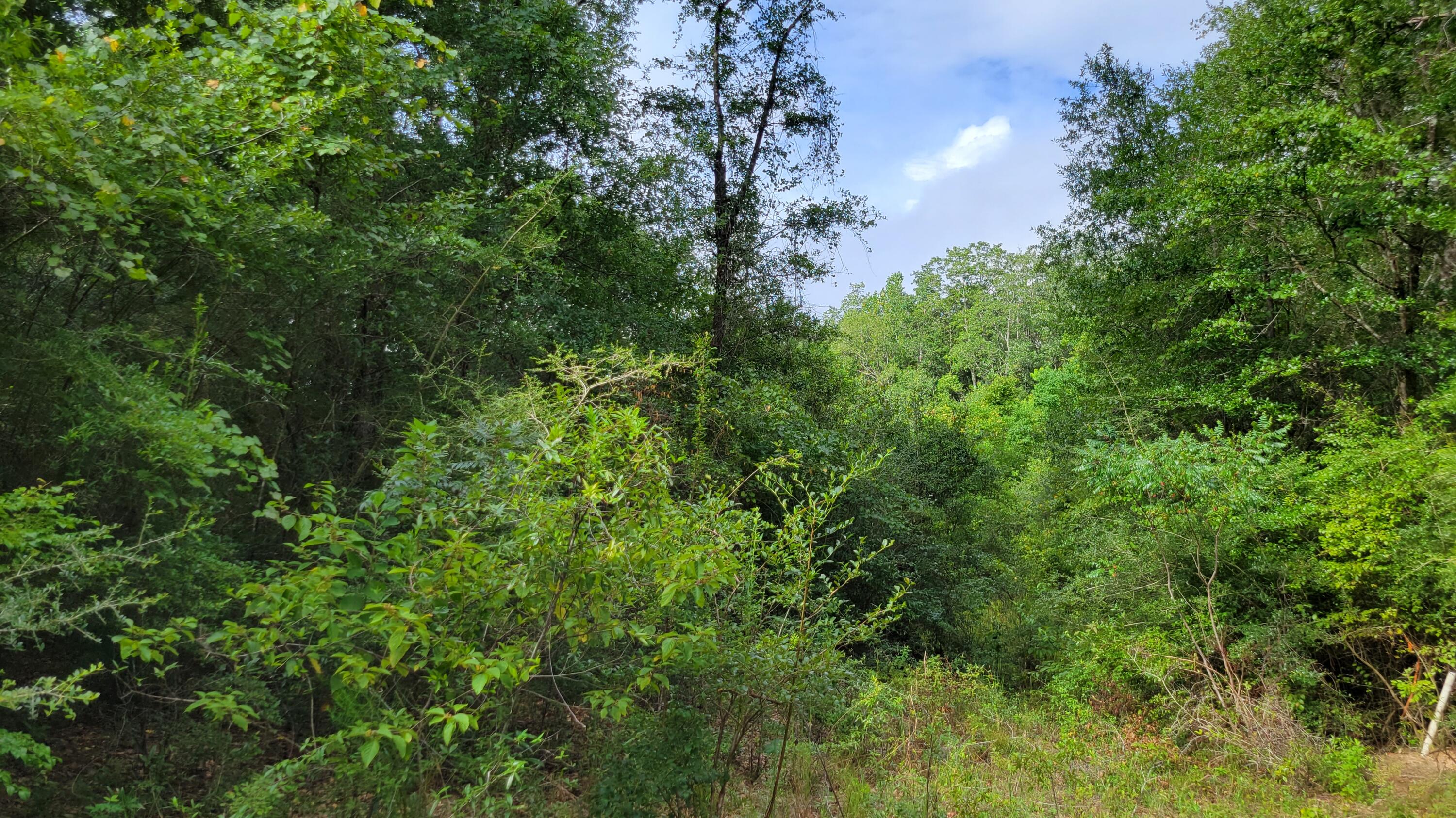 an aerial view of residential house with outdoor space and trees all around