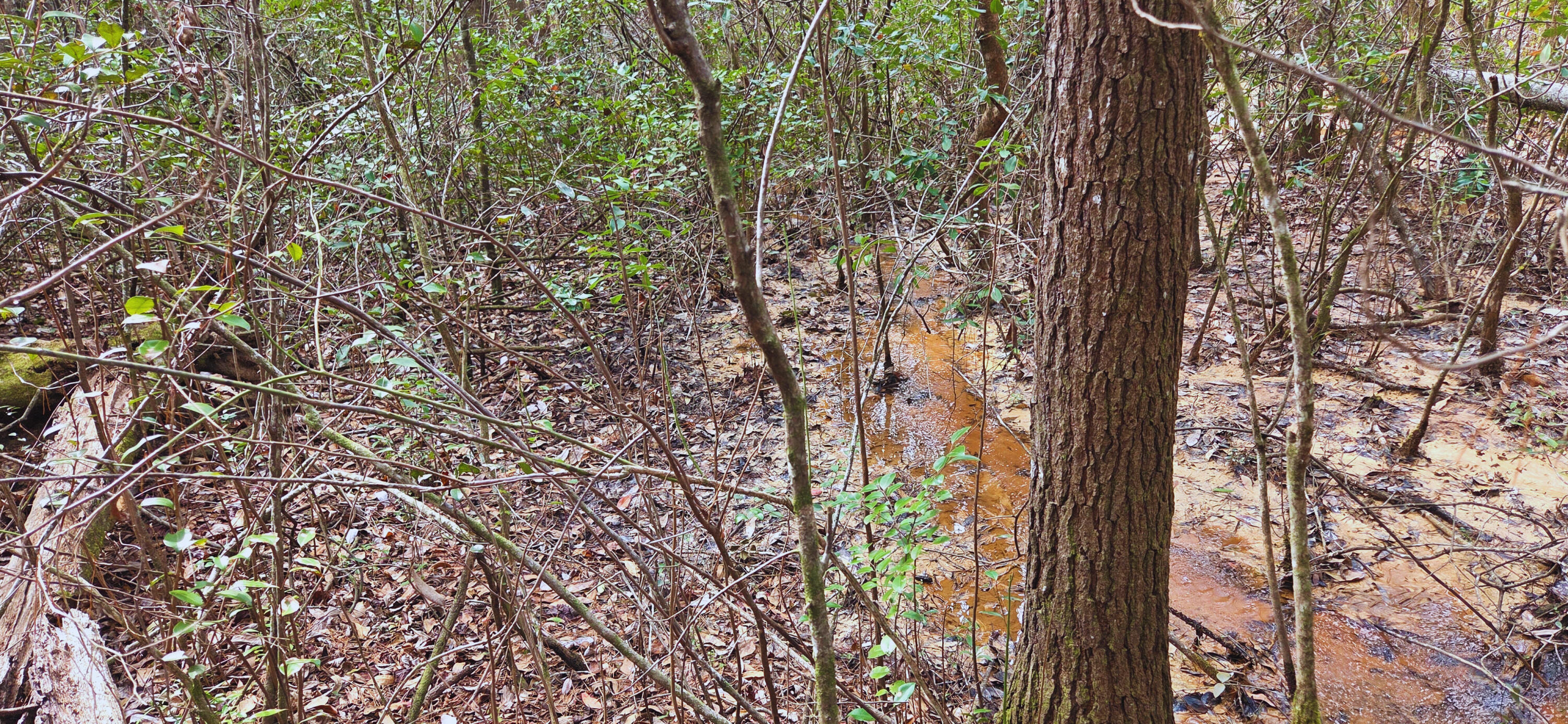 0 East 2nd Avenue Crestview, FL 32539 - Photo 16 of 23